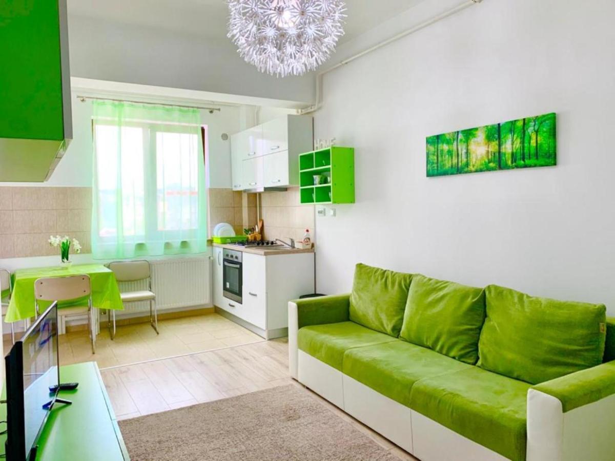 Palas View Apartments Near Palas Mall Iasi Buitenkant foto