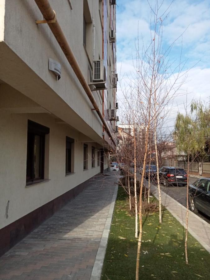 Palas View Apartments Near Palas Mall Iasi Buitenkant foto